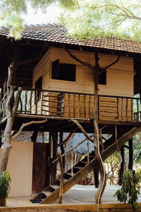 Hilltop Chalet